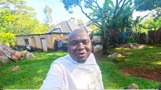 Painful Story of a House Repair!! Vihiga Three Bedroom House has a new Face
