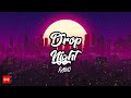 Dropnight radio  chill  dance music 