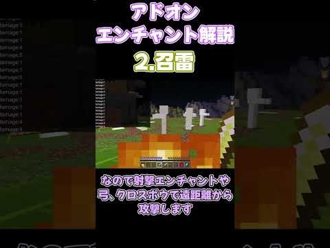 アドオンエンチャント解説 召雷 #マイクラ #アドオン#エンチャント