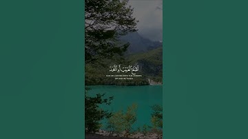 أفرأيت الذي كفر بآياتنا وقال لأوتين مالاً وولدًا عبدالرحمن مسعد  سورة مريم