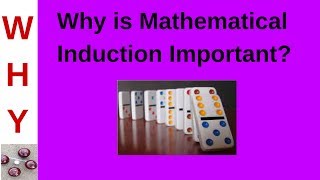 Celebrity Relevance of Mathematical Induction Profile