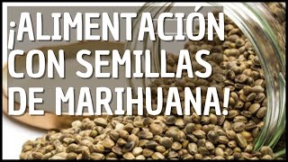Beneficios de comer semillas de marihuana en tu dieta diaria.