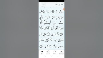 سورة يوسف صفحة (٢٤٢)