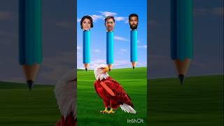 #frlegends What Color is an Eagle? | બાજનો રંગ કેવો હોય છે? 🤔👇 Comment / कॉमेंट / કોમેન્ટ में बताओ!