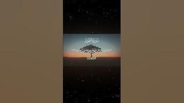 سورة الطور|28-32|القارئ:#محمد_اللحيدان #قران #quran #راحة_نفسية #قران_كريم #تلاوة_هادئة #تلاوة_خاشعة
