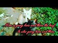 Tiny leopard kitten and black panther kitten in the garden #cat #kitten