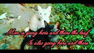 Tiny leopard kitten and black panther kitten in the garden #cat #kitten