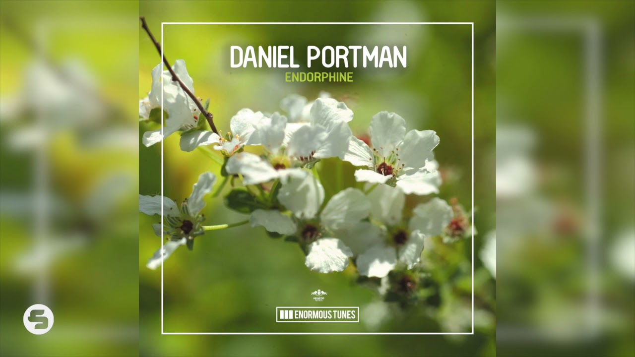 Tonton Daniel Portman - Endorphine di YouTube