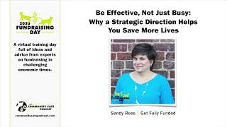 Be Effective, Not Just Busy | Sandy Rees | 2020 Fundraising Day by Community Cats Podcast 10 views 2 weeks ago 59 minutes