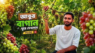 বিশাল আঙুর বাগান ভিজিট 😱 | হাজার হাজার আঙুরের থোকা | Vineyard Vlog BD