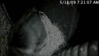 MN-warner-eaph-20090518.mp4
