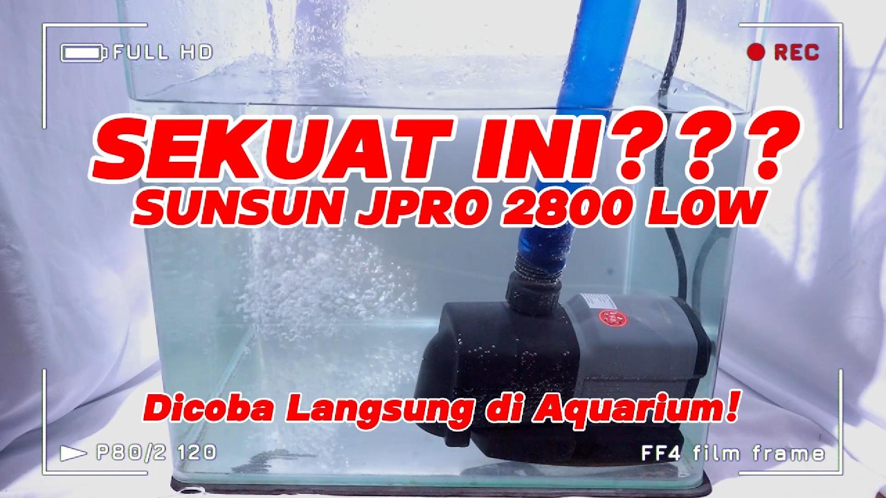 SUNSUN JPRO 2800 LOW Diuji di Aquarium! Kuat atau Gimmick?!