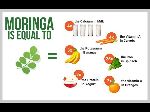 Video Bảo tồn Tuyệt đối các Vitamin trong cây Chùm Ngây được... - YouTube