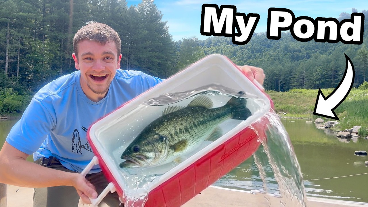 Smuggling 8lb Bass from Florida to Stock in My Pond!