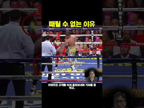 메이웨더가 자세를 일부러 무너뜨리는 진짜 이유 - 완벽한 위치 선정의 비밀 #복싱기술 #카운터복싱 #피벗 #40대아재복서