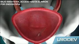 Diego Alberto Velásquez Ossa-11