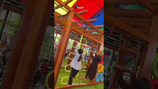 nice playland