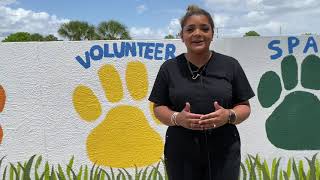 Fosters Needed! Suncoast Humane Society's Foster Event at Walmart Supercenter in North Port FL