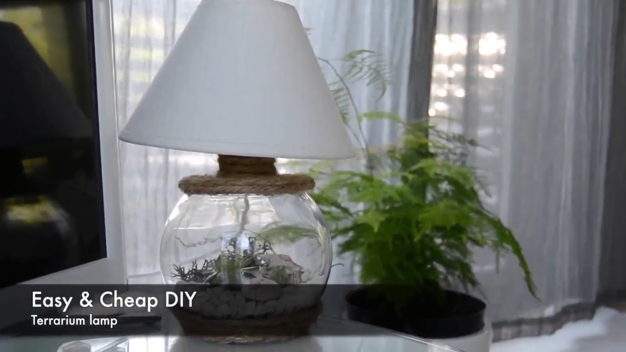 DIY Terrarium Lamp (Cheap version) YouTube