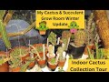 My cactus  succulent grow room winter update  indoor cactus collection tour cacti cactus