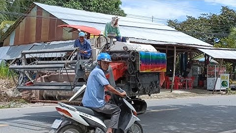 máy cắt 60 độ 70 Chạy rất nhanh Cắt Lúa rất Lẹ tập148 #maibangtv