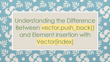 Understanding the Difference Between vector.push_back() and Element Insertion with Vector[index]