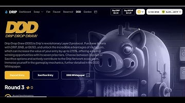 MY HONEST OPINION ON DRIP DROP DRAW