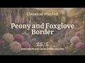 Peony & Foxglove Border 🌸 Pomodoro Timer 25/5 | 1 Hour Study Session | Cottagecore Classical Music