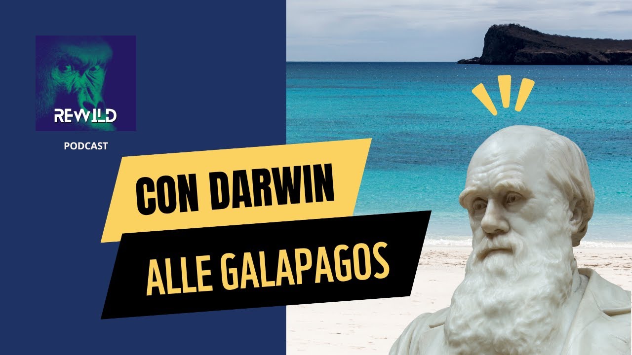 Con Darwin alle Galapagos ☀️ 