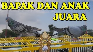 LUAR BIASA..!!! SEJARAH BARU TERCIPTA | Halilintar Team Pekalongan