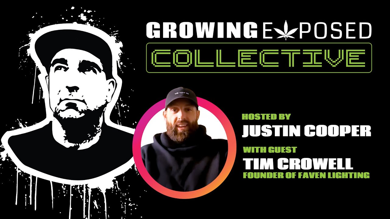 Justin x Faven Lighting | Under Canopy Lighting