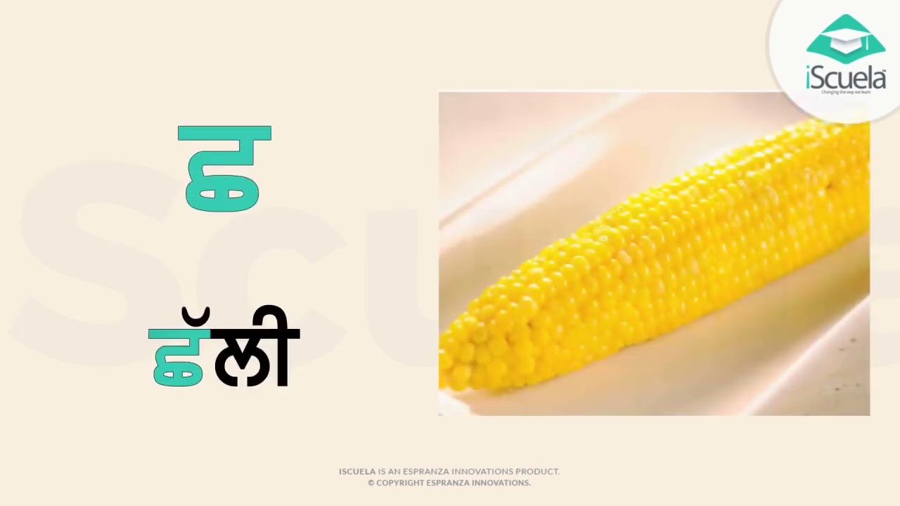 PB | Class1 | Punjabi | Varanmala (PSEB)