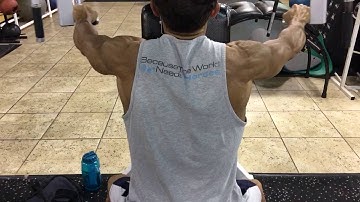 Rear Delt Machine