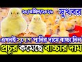 19, April 2026 || ব্রয়লার ও সোনালী বাচ্চার আজকের বাজার দর || মুরগির বাচ্চার পাইকারি বাজার দাম জানুন