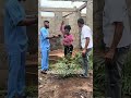 Man based in Europe rûn màd after Ev1l uncle disappeared with 500 thousand euros for house project