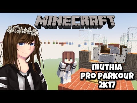 AKHIRNYA PRO PARKOUR DI 2017 WKWK 😂 - MINECRAFT PARKOUR INDONESIA