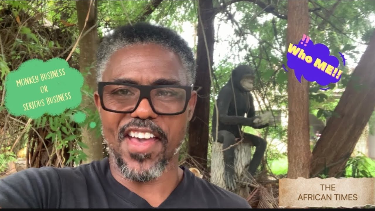 Still from BEST RESTAURANTS & HOTELS IN AFRICA - TANZANIA - BE ABOUT YOUR BUSINESS OR THE MONKEY BUSINESS