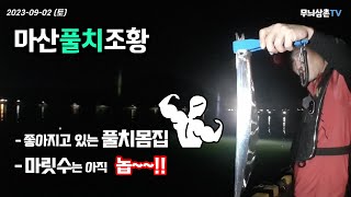 마산 풀치 사이즈는 좋아졌는데...  [무늬삼촌TV ]