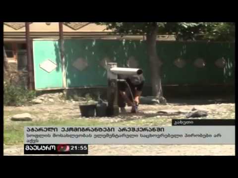 ეკომიგრანტები არეშქერანში