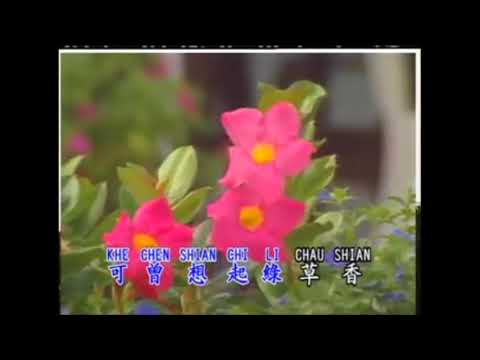 余天 榕樹下  KARAOKE