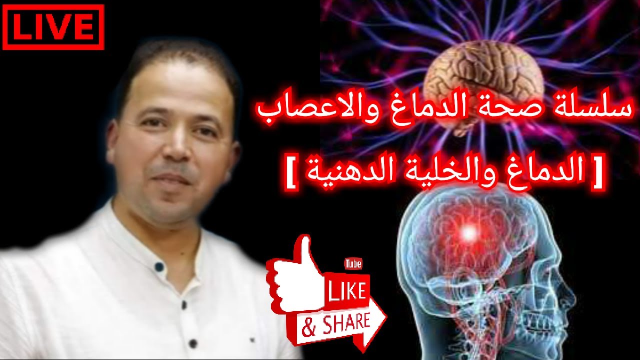 🔴 سلسلة صحة الدماغ 🧠 والخلية الدهنية|| الاستاذ محمد احليمي اختصاصي الحمية العلاجية والتغذية الصحية