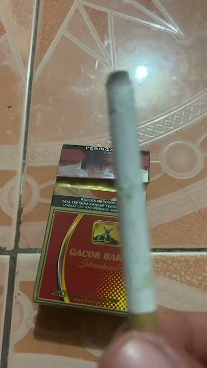Ada yang udah rasa rokok ini ya Gacor baru #rokok mw ga aku reviu