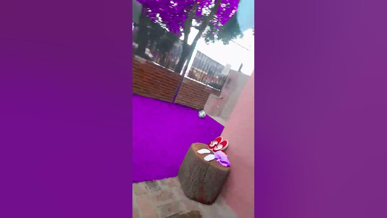 24 de diciembre de 2024 youtube