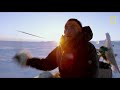 The Last Ice: Salvar el Ártico, estreno el 5 de junio | NATIONAL GEOGRAPHIC ESPAÑA