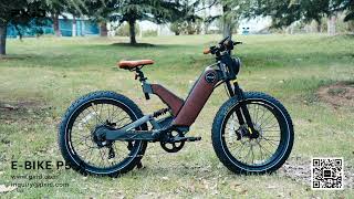 PXID ANTELOPE P5 Ebike 1000w Electric Bike Fat Tire Mountain Bike