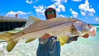 HOW TO CATCH BIG SNOOK OFF ANNA MARIA ISLAND!