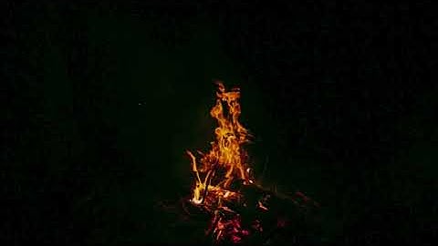 الشيخ عبداللطيف ابو العلا | ماتيسر من سورة غافر