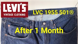 LEVIS VINTAGE CLOTHING 1955 501 | After 1 Month