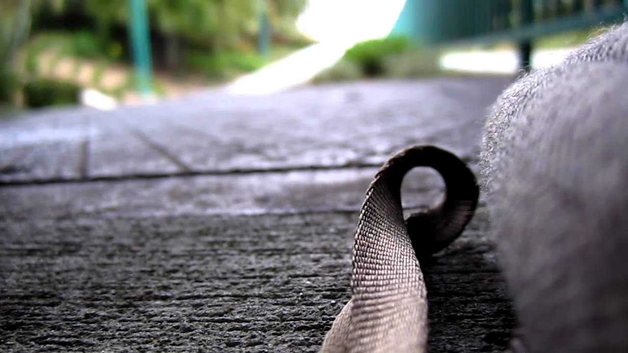 No Surprises - Katherine Olivares & Max Gerlock