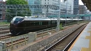 E655系なごみクラツー団臨上野発日光行き鶯谷駅通過